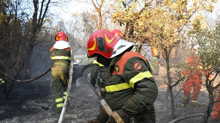 Oggi 13 incendi in Sardegna: a Turri necessario intervento aereo per domare le fiamme