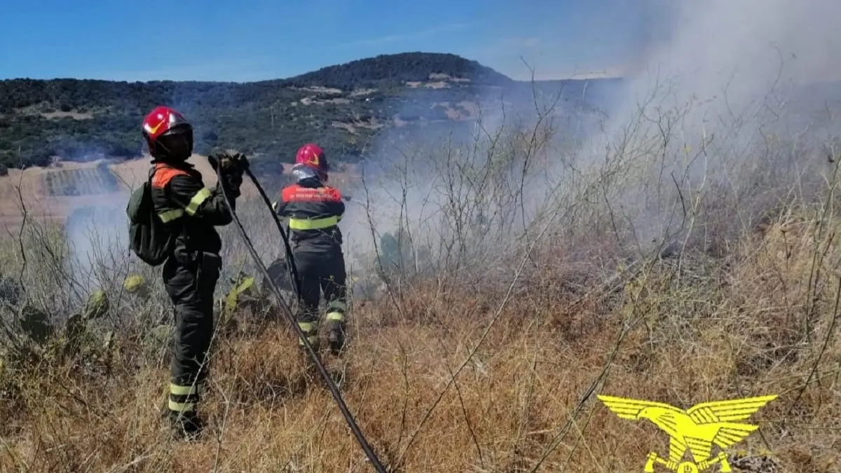 Sedici incendi in Sardegna, a Sardara in fiamme 30 ettari di campi