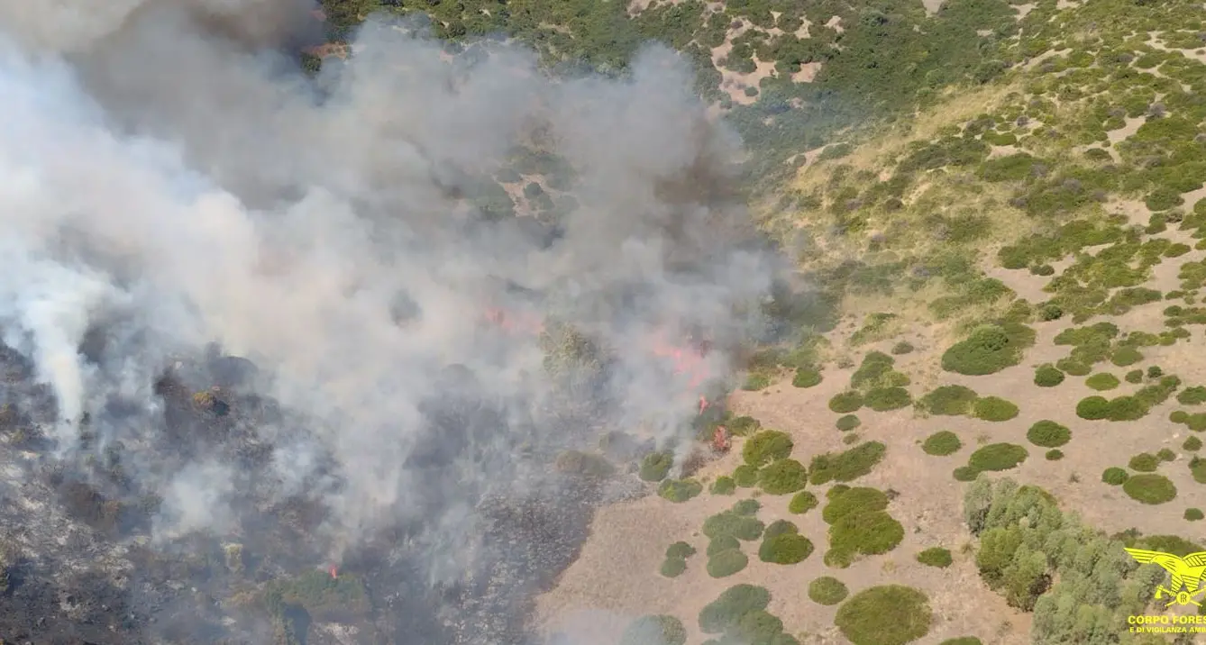 Sardegna in fiamme: 22 incendi in un solo giorno, elicotteri a Siris