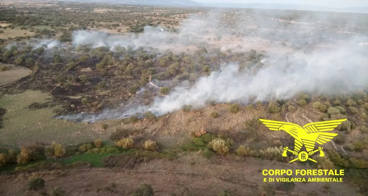 Incendio domato a Benetutti su quattro ettari di sughereta