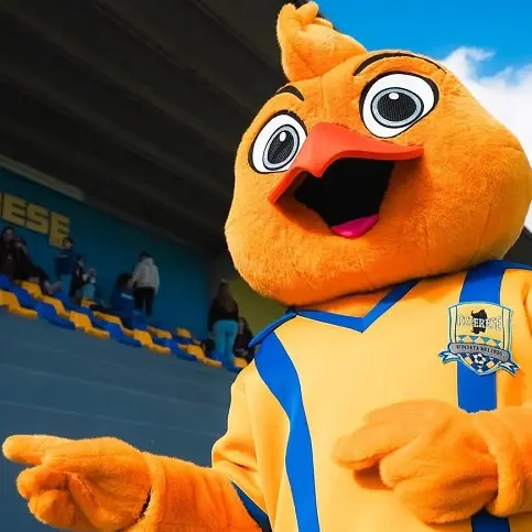 Un tifoso inaspettato per l'Ozierese: i gialloblu presentano \"Ozi\", la mascotte canarino