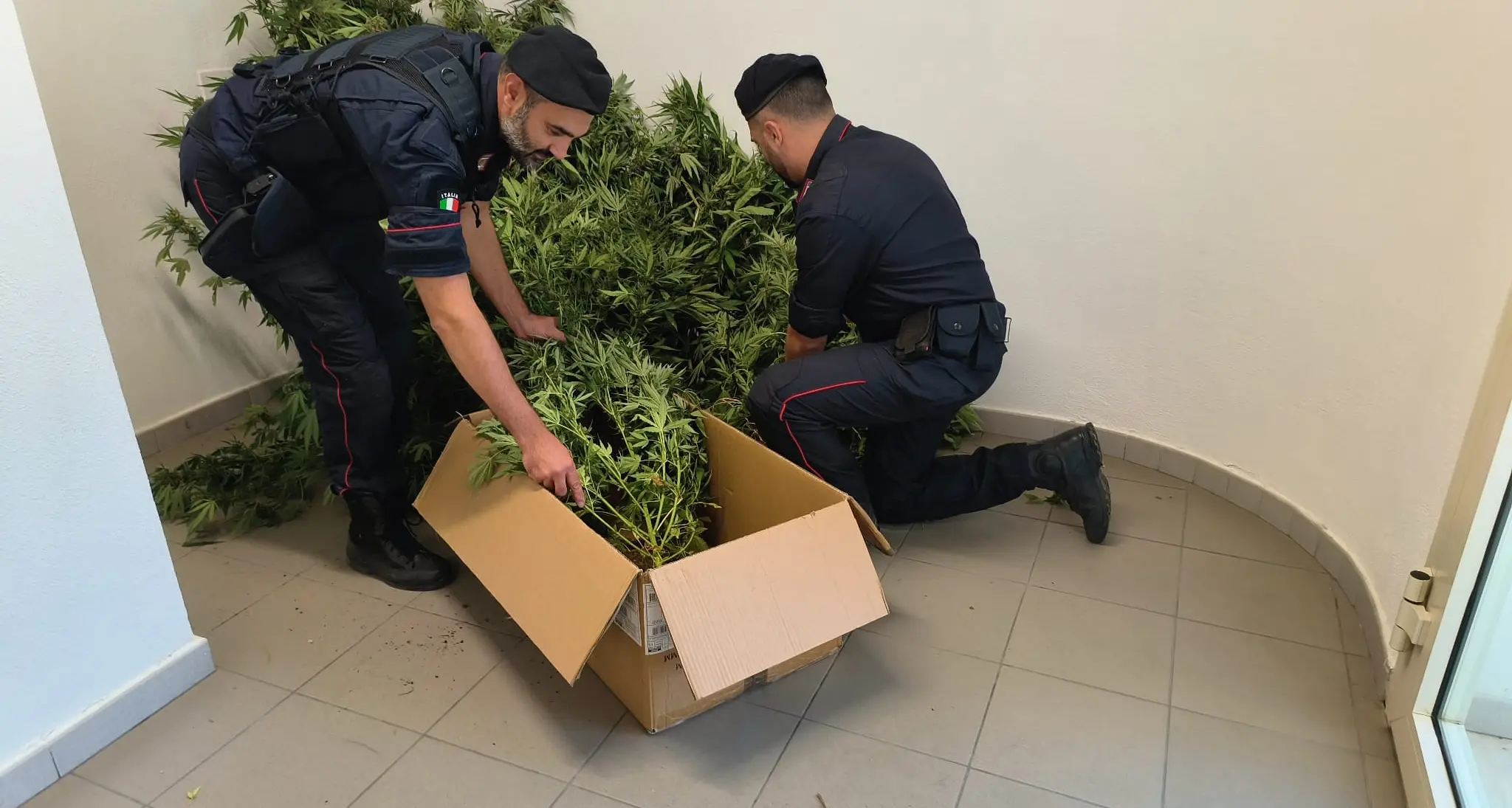 Operazione antidroga a Sestu: arrestato un operaio