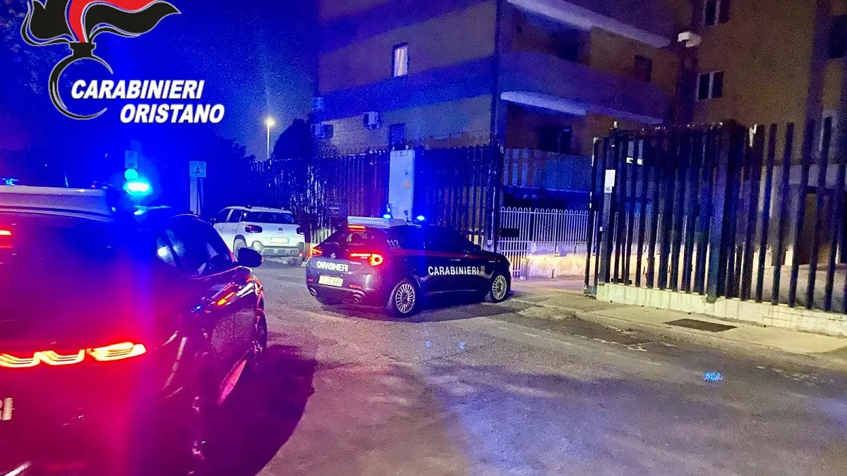 Scoperta maxi piantagione di cannabis a Terralba: nove arresti, tra cui un minorenne