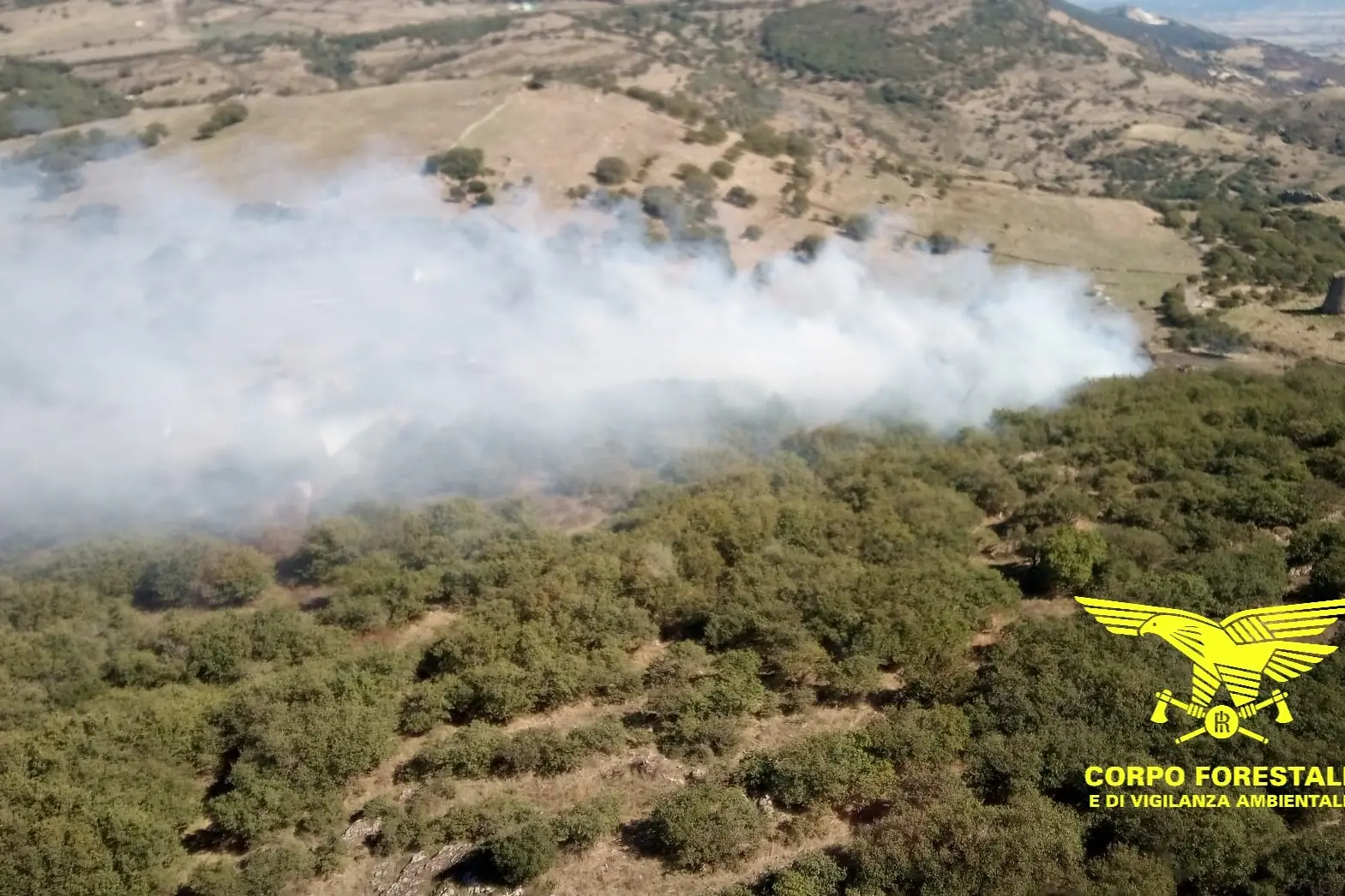 <p> L\\'incendio di Bortigali, loc. Crastu Littu</p>\\n