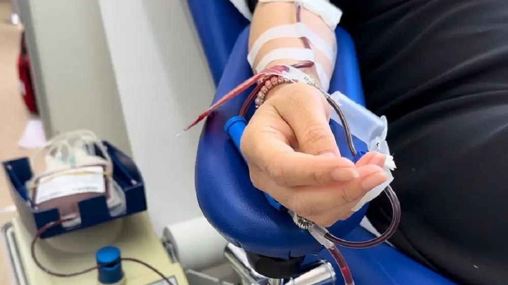 Sassari, dona il sangue e vai al cinema. Insieme Avis Provinciale e Cityplex Moderno