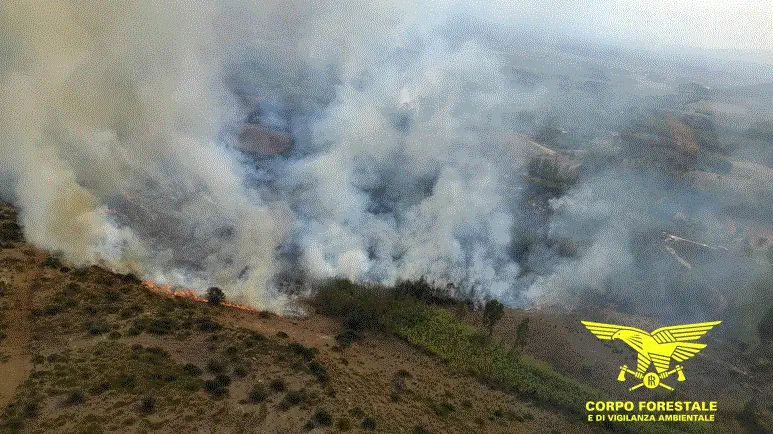 Incendi in Sardegna: 14 roghi in un solo giorno, interventi aerei a Serrenti