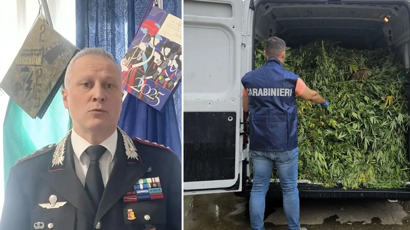 Un sistema imprenditoriale dietro la marijuana: così operava la rete scoperta a Terralba