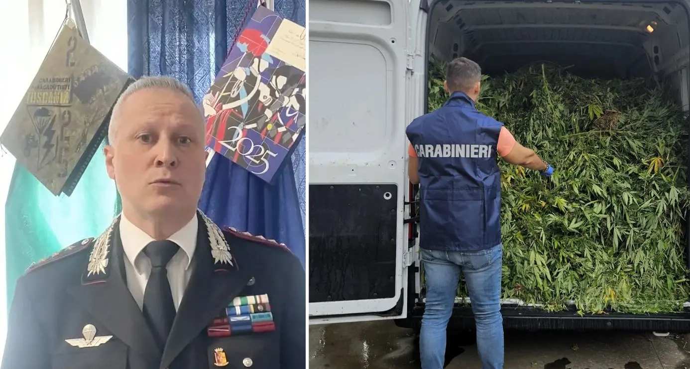 Un sistema imprenditoriale dietro la marijuana: così operava la rete scoperta a Terralba