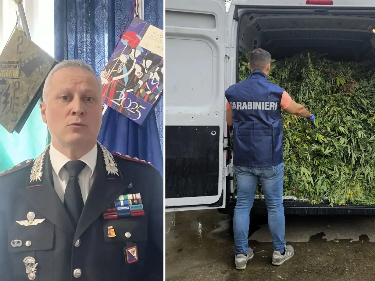 Un sistema imprenditoriale dietro la marijuana: così operava la rete scoperta a Terralba