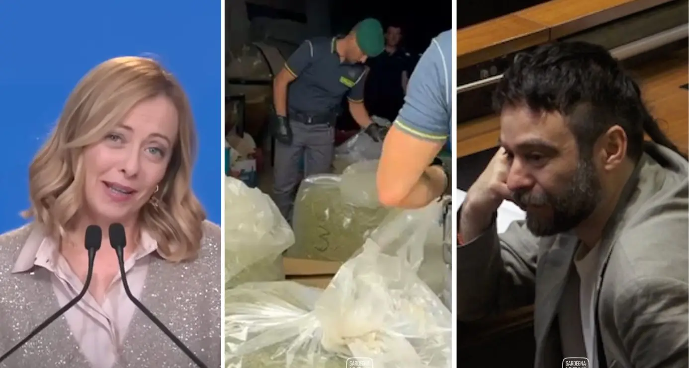 Canapa, Di Nolfo: “Norme confuse colpiscono chi lavora nella legalità”