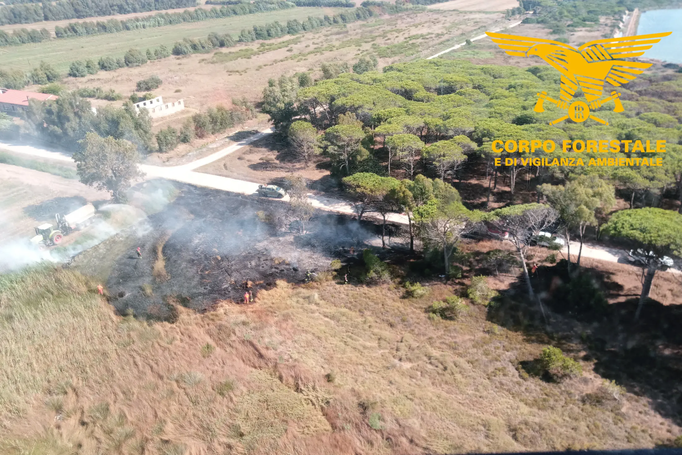 Cinque incendi dolosi nella pineta di Terralba e Arborea: un arresto