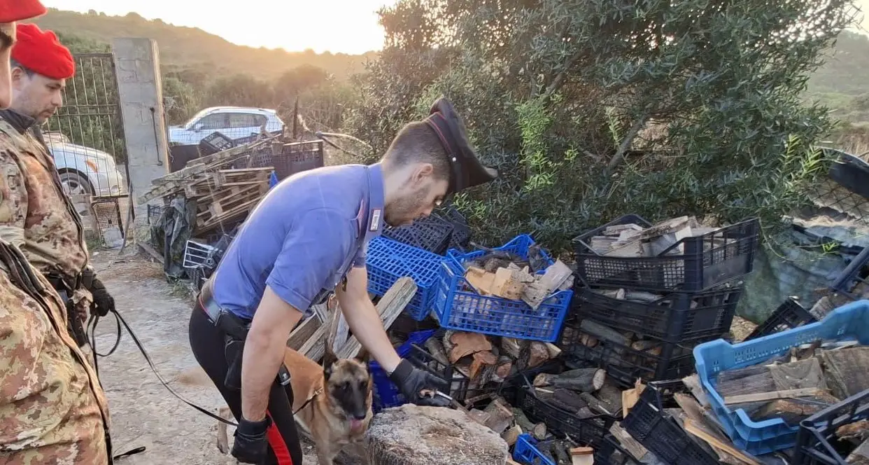 Scoperti pistola illegale e reperti archeologici in casa: denunciato pensionato a Portoscuso
