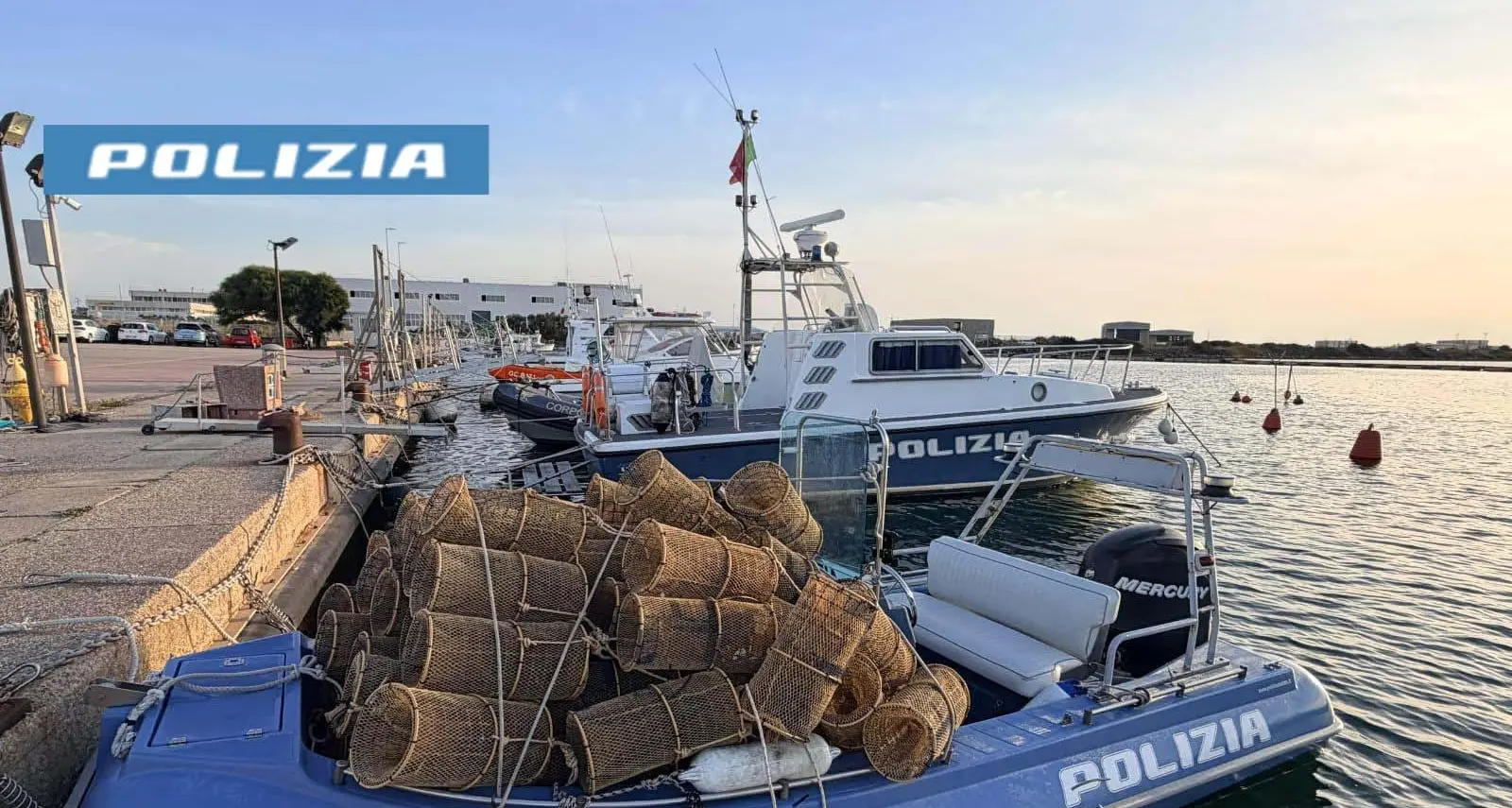 Lotta alla pesca di frodo: sequestrate attrezzature illegali per la pesca del polpo ad Arborea