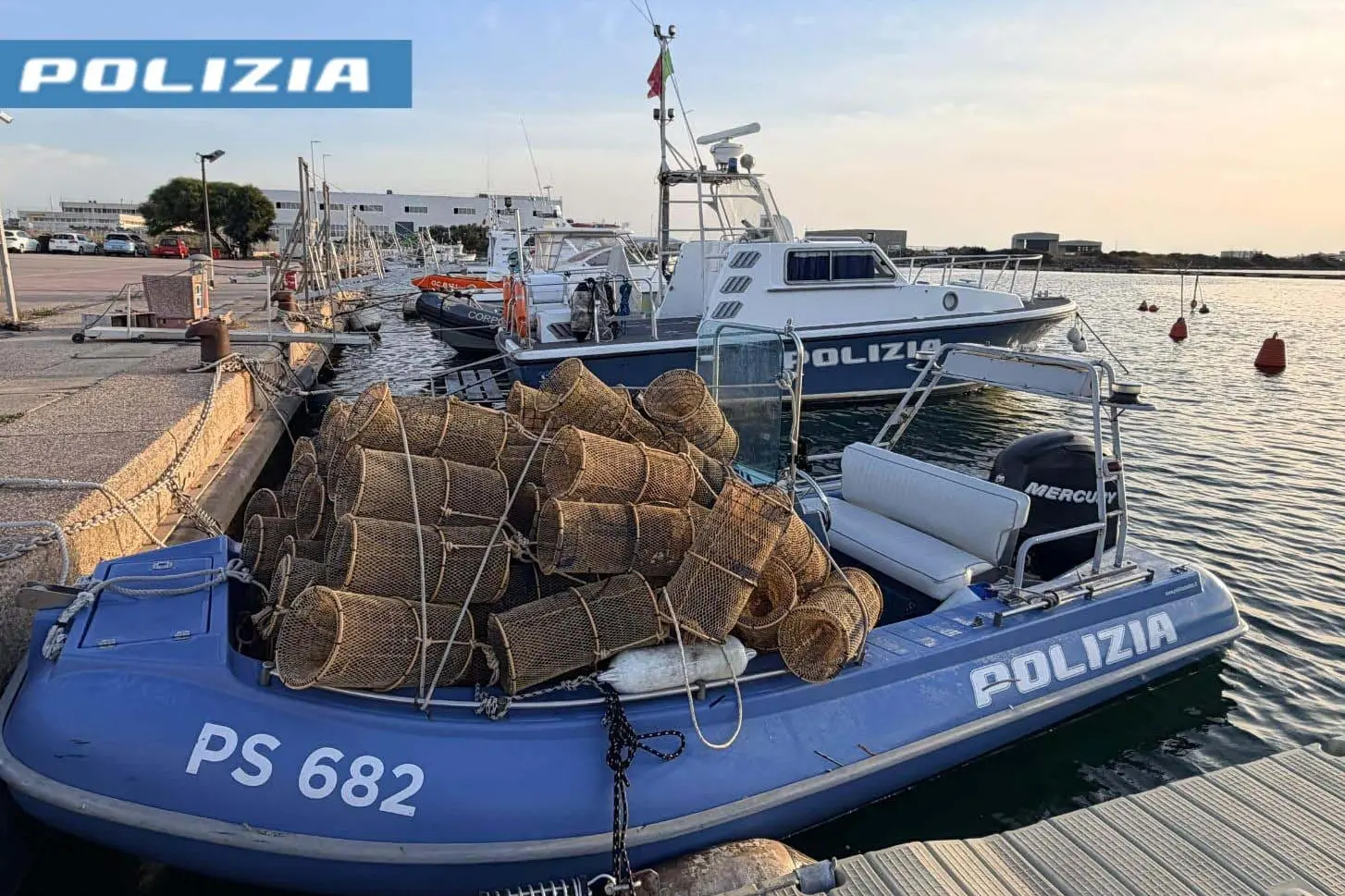 Lotta alla pesca di frodo: sequestrate attrezzature illegali per la pesca del polpo ad Arborea