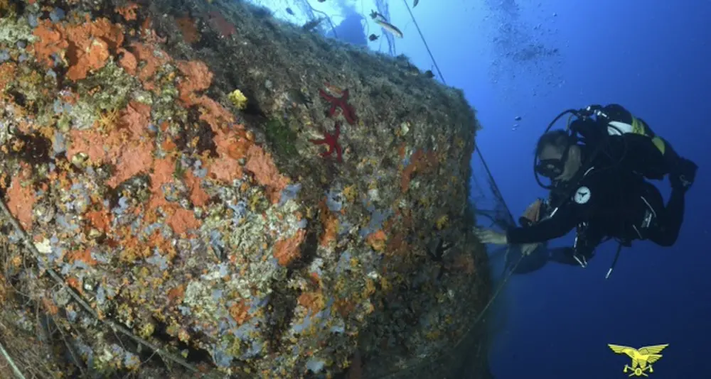 Reti fantasma rimosse dai fondali di Torre delle Stelle