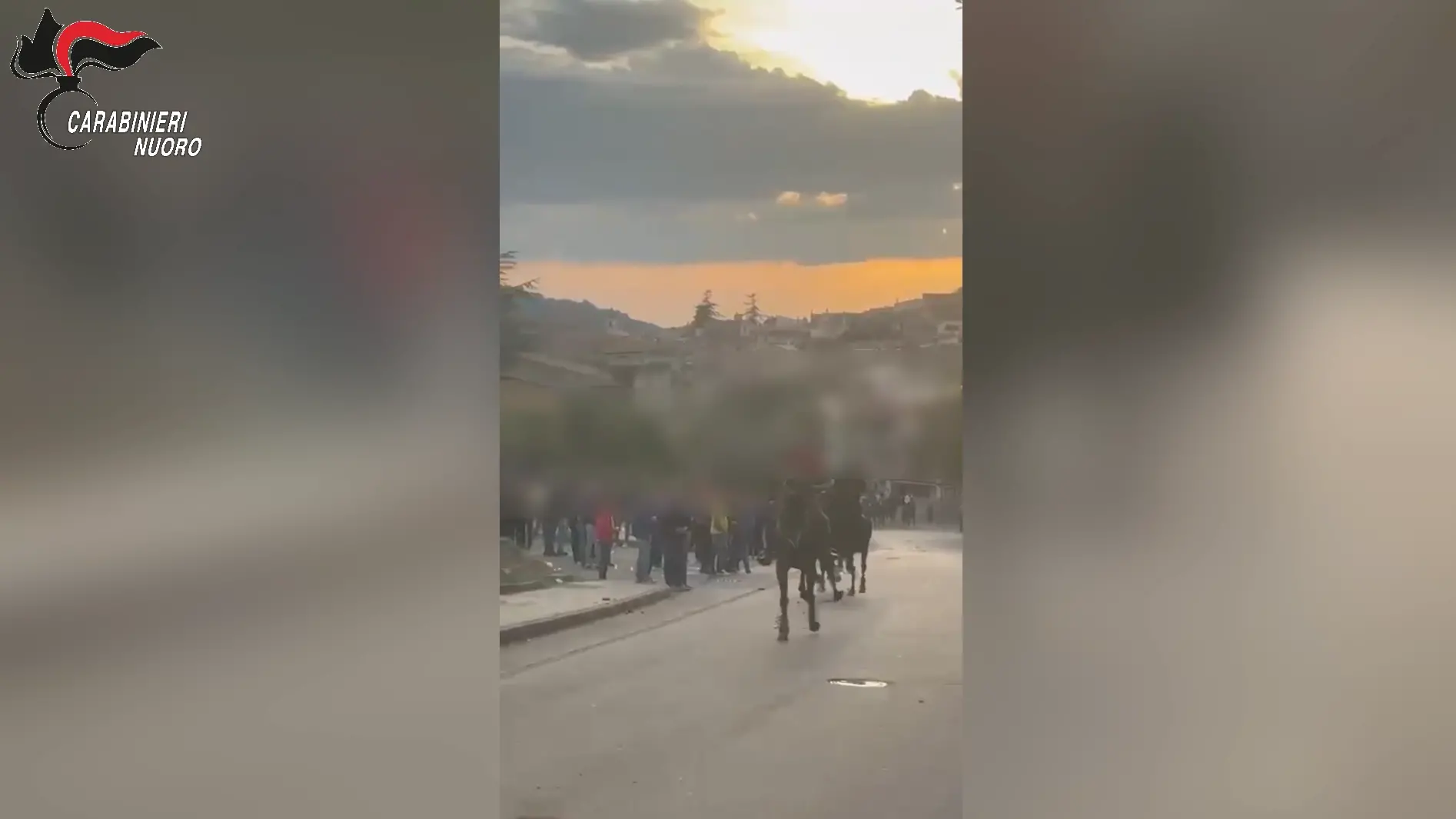 Orani, corsa a cavallo non autorizzata tra le vie del paese: denunciati otto giovani