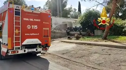Raffiche di vento forte a Quartu Sant'Elena: albero crolla in un cortile privato