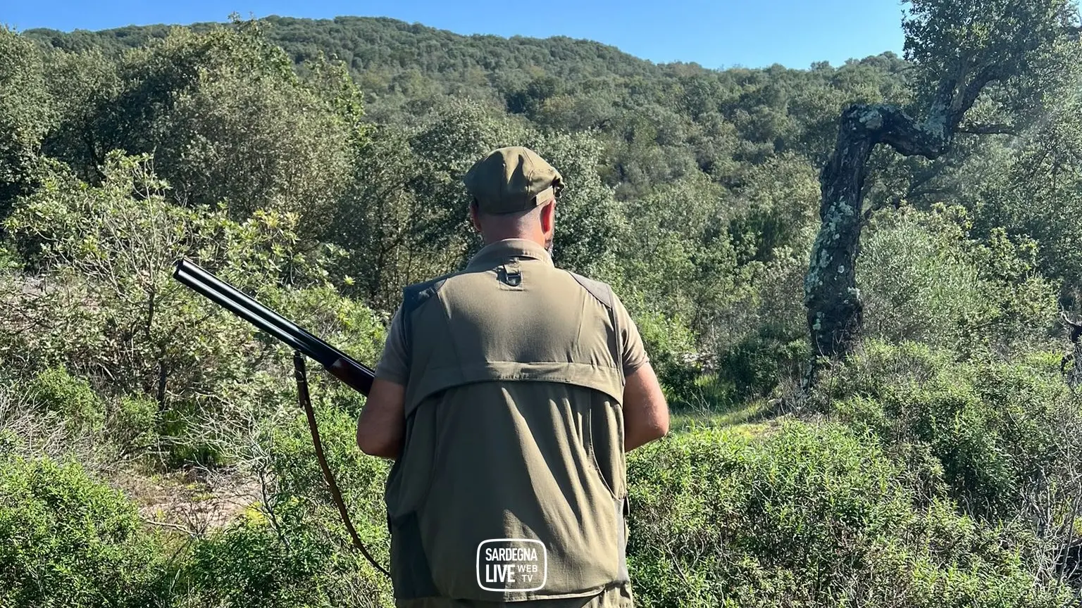 Cinghiali, storni e daini: la nuova proposta di legge per la caccia in Sardegna