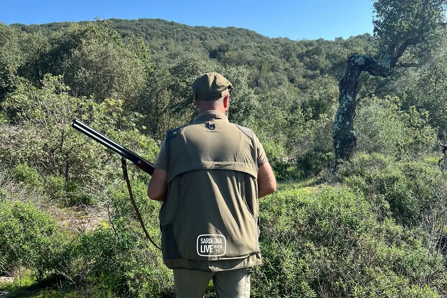 <p>Foto simbolo</p>\\n