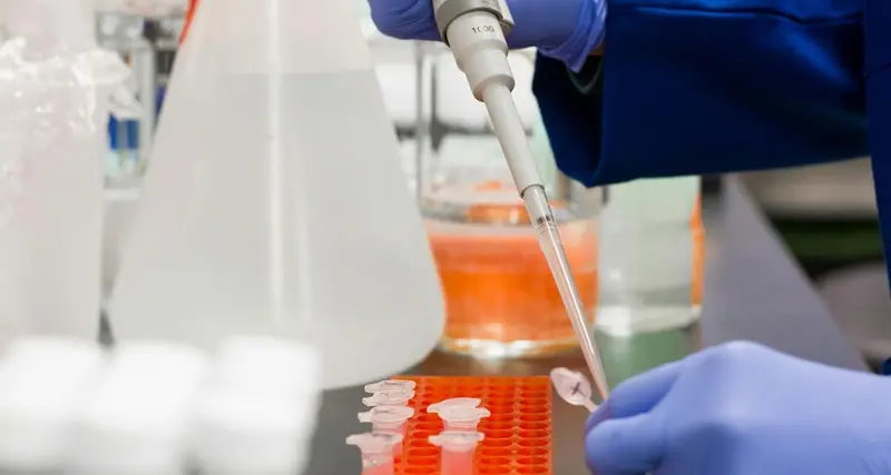 L'8 novembre un seminario Aou Sassari e \"AIL Pazienti\" sui tumori del sangue