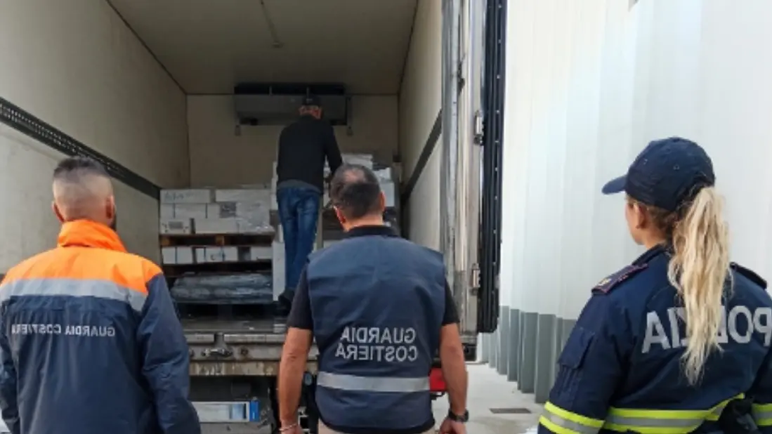 Maxi sequestro di 390 chili di pesce senza tracciabilità a Olbia