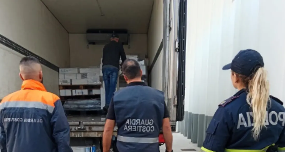 Maxi sequestro di 390 chili di pesce senza tracciabilità a Olbia
