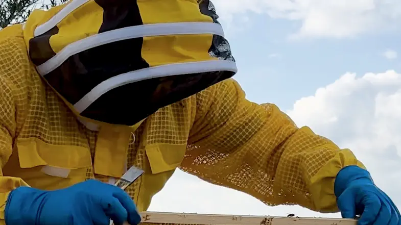 Putifigari in festa: tra miele, funghi e porcetto. Sabato 8 e domenica 9 novembre