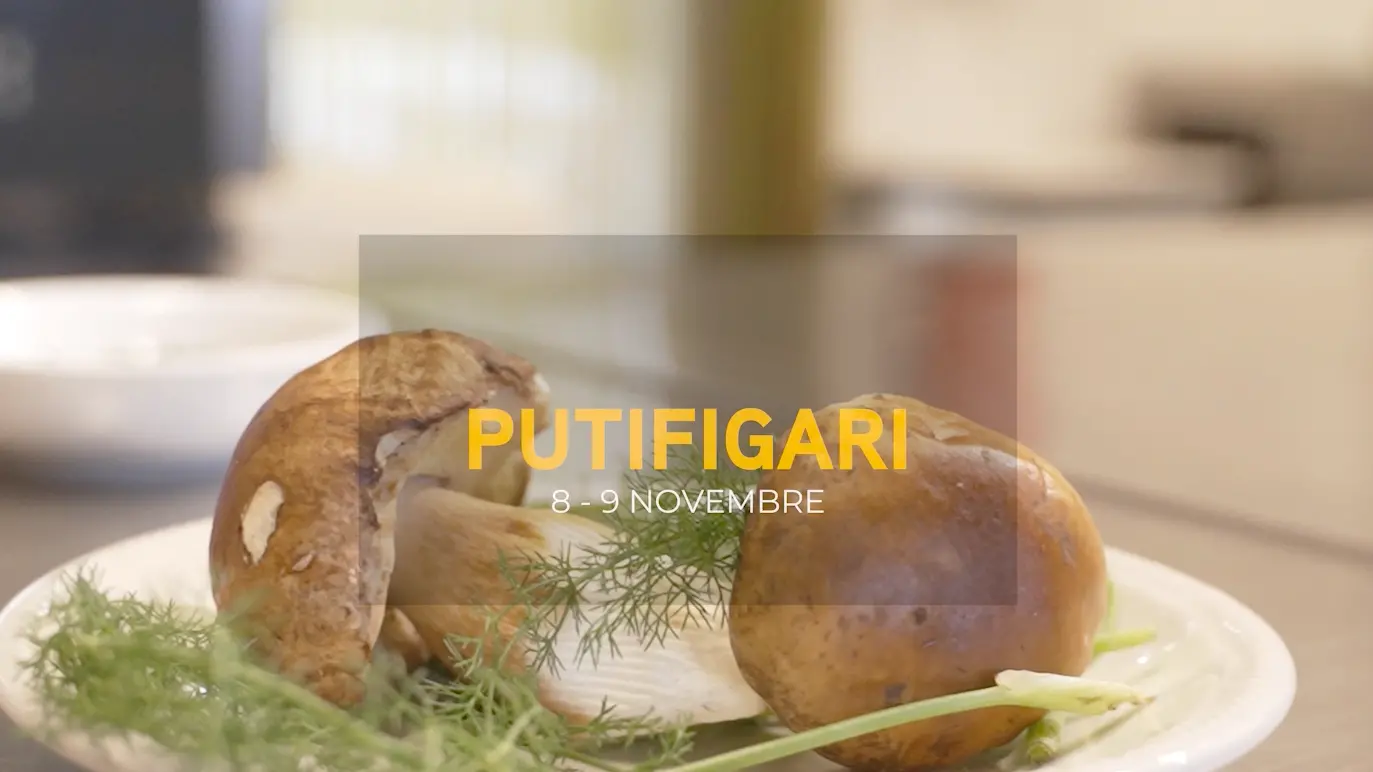 Putifigari, online il nuovo sito della Mostra Micologica: programma, mappa interattiva e laboratori