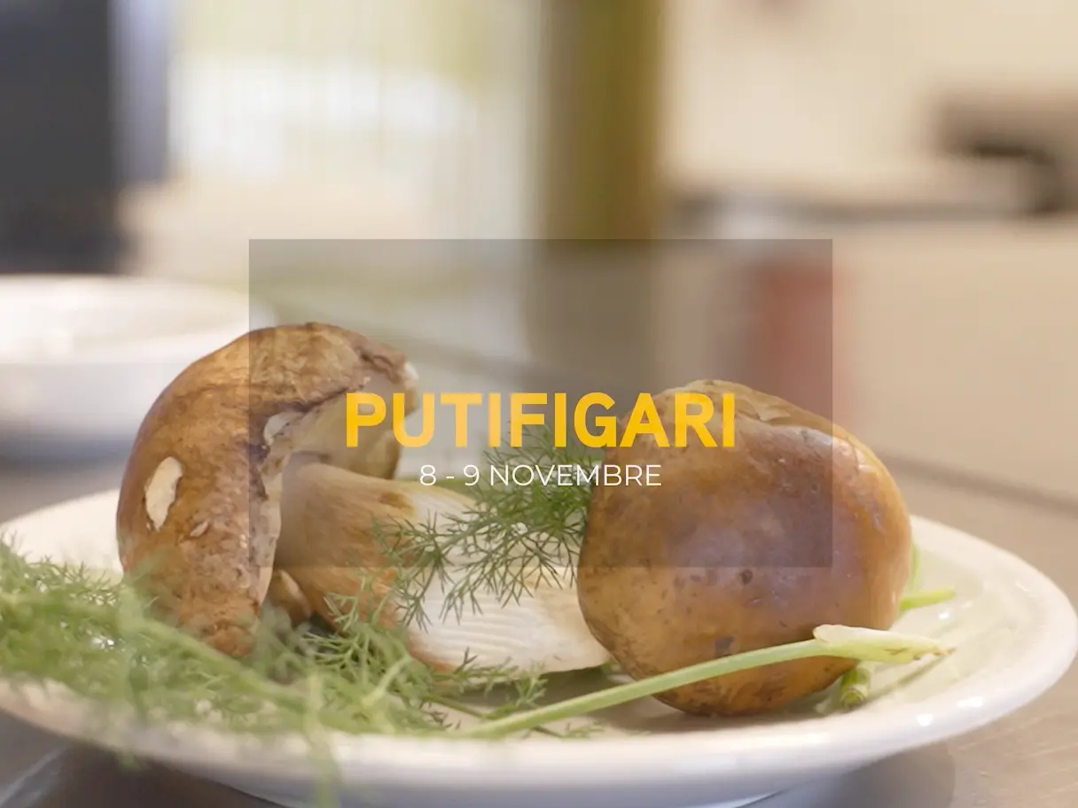 Putifigari, online il nuovo sito della Mostra Micologica: programma, mappa interattiva e laboratori