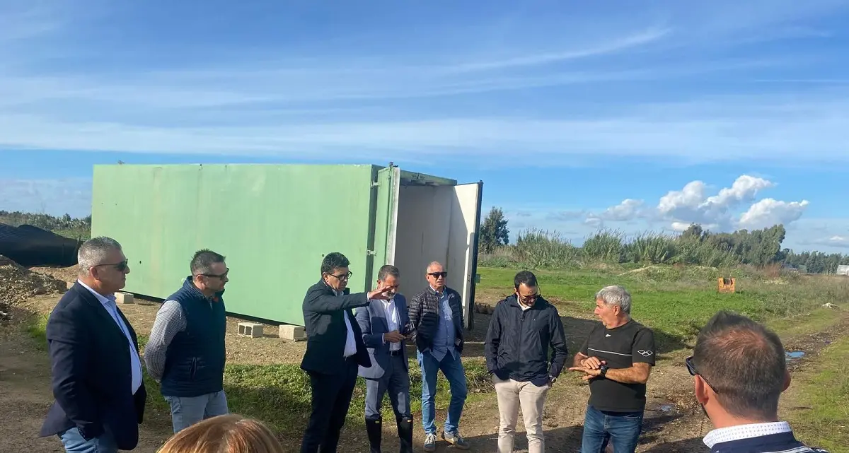 Tromba d’aria nell’Oristanese, Satta: “Subito aiuti alle aziende agricole”