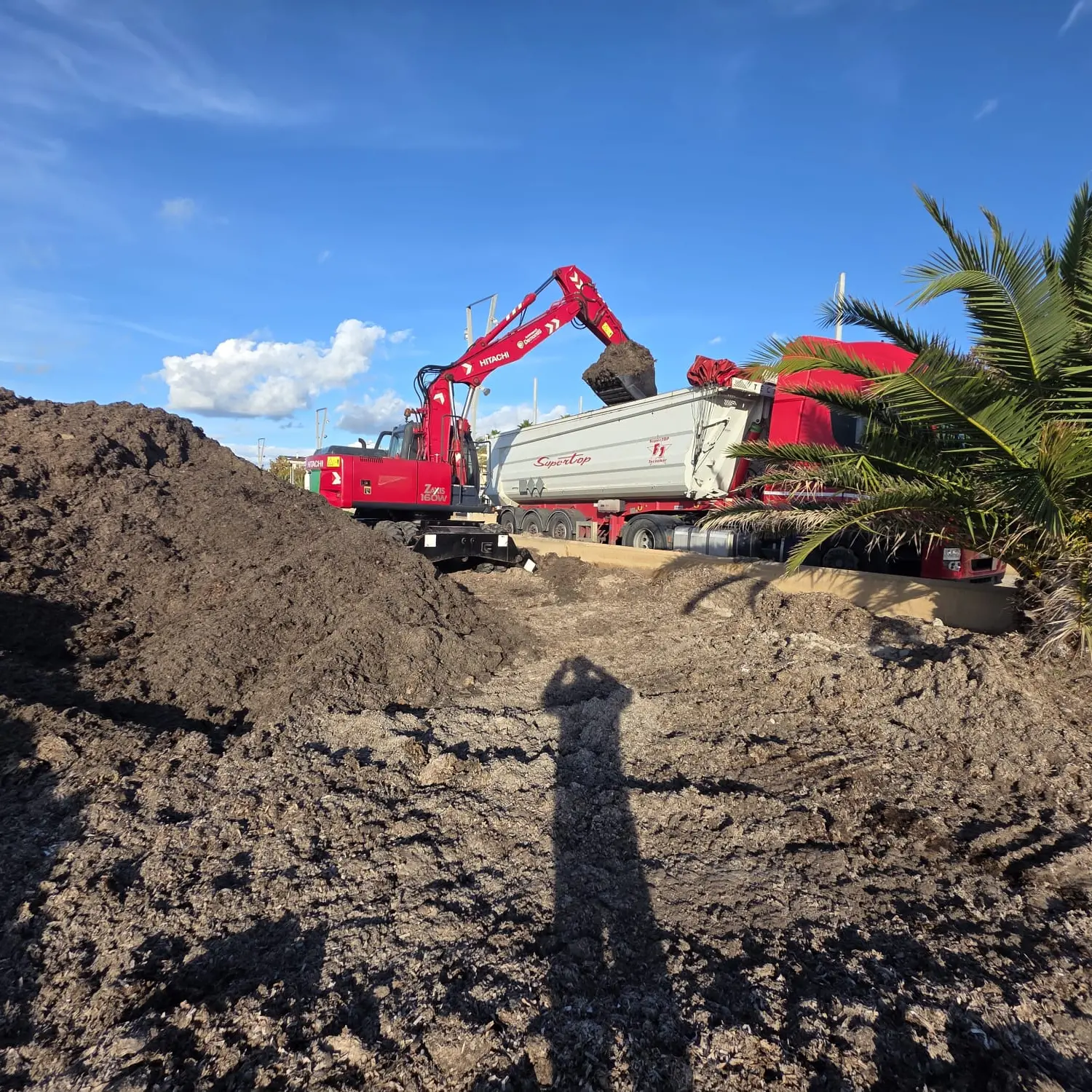 Riprendono i lavori per la rimozione della posidonia ad Alghero