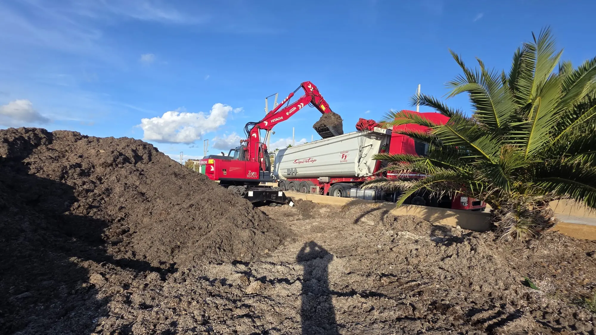 Riprendono i lavori per la rimozione della posidonia ad Alghero