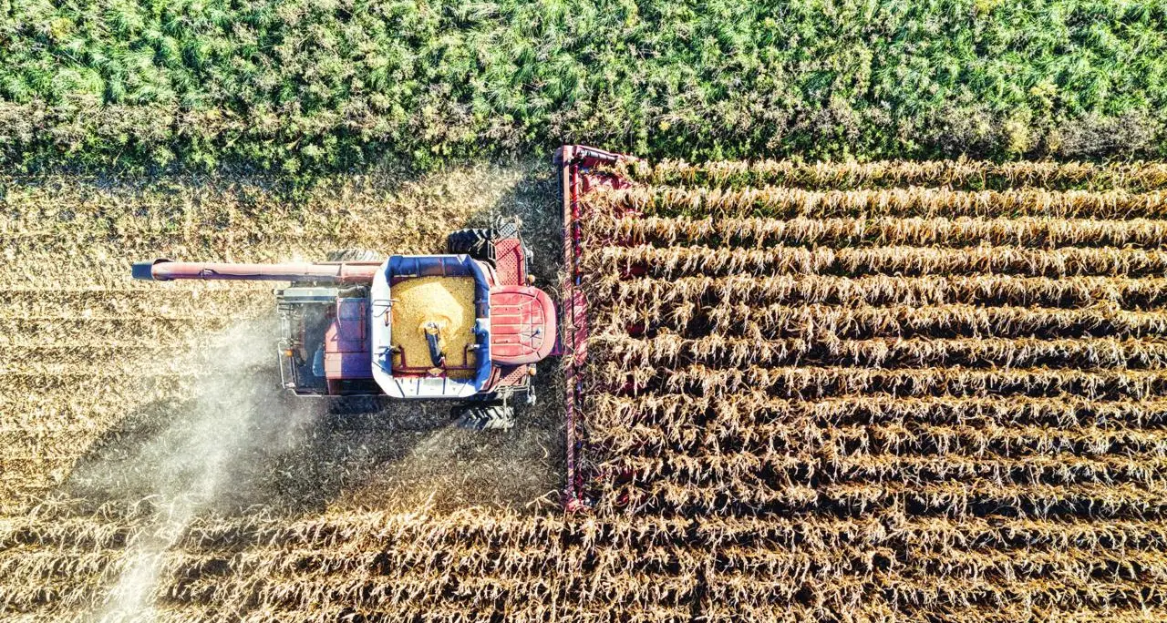 Osservatorio Agrofarma: \"Italia modello di eccellenza per uso agrofarmaci\"
