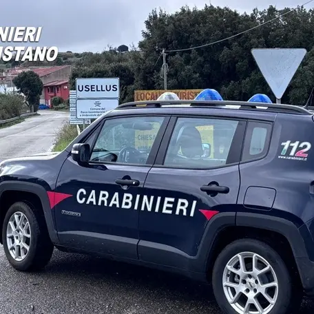 Furto in un’azienda agricola di Usellus: denunciato 36enne, recuperata parte della refurtiva