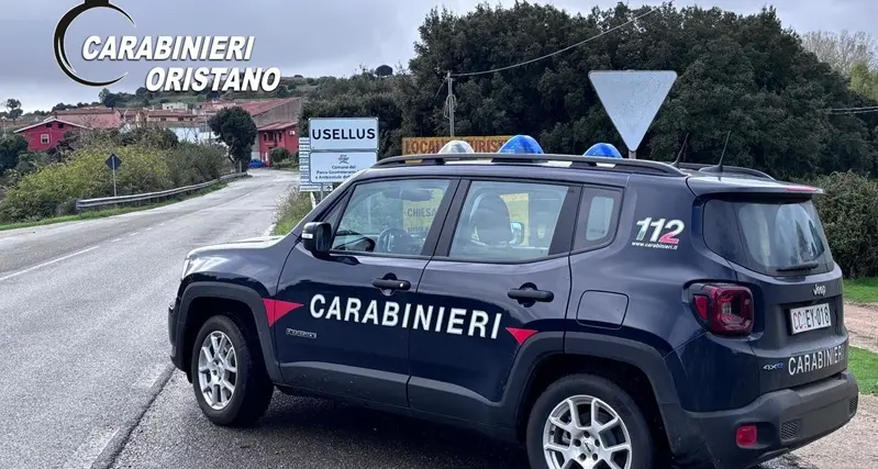 Furto in un’azienda agricola di Usellus: denunciato 36enne, recuperata parte della refurtiva