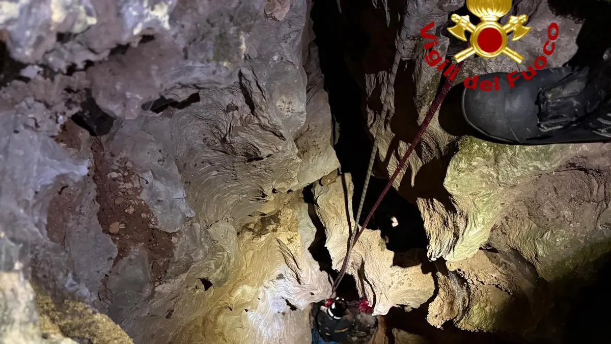 Cane da caccia salvato dai Vigili del fuoco dopo caduta in una voragine a Urzulei