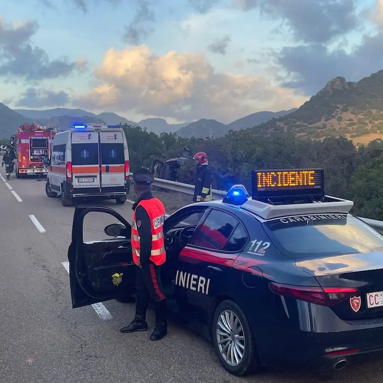 Cinghiale sbuca sulla carreggiata: giovane finisce fuori strada sulla SS 387 tra San Vito e Ballao