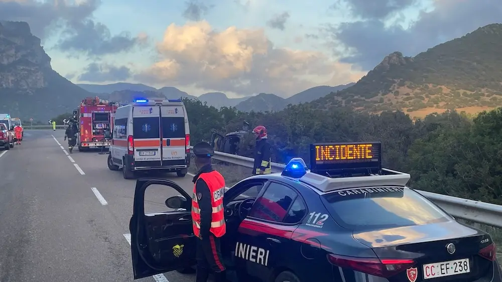 Cinghiale sbuca sulla carreggiata: giovane finisce fuori strada sulla SS 387 tra San Vito e Ballao