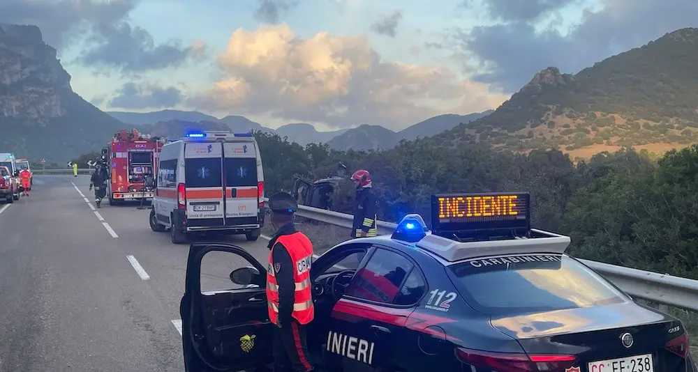 Cinghiale sbuca sulla carreggiata: giovane finisce fuori strada sulla SS 387 tra San Vito e Ballao
