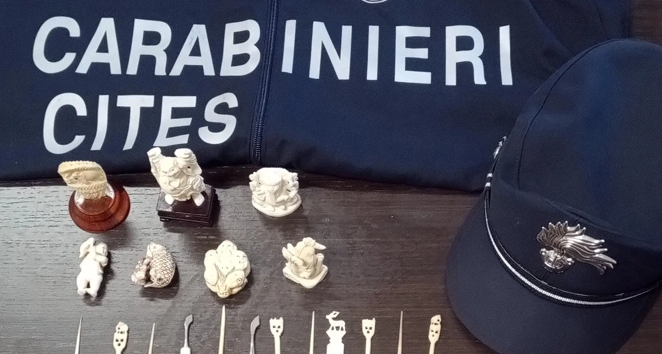 Avorio in vendita senza permessi: sequestrati 34 oggetti, denunciata una donna a Muravera