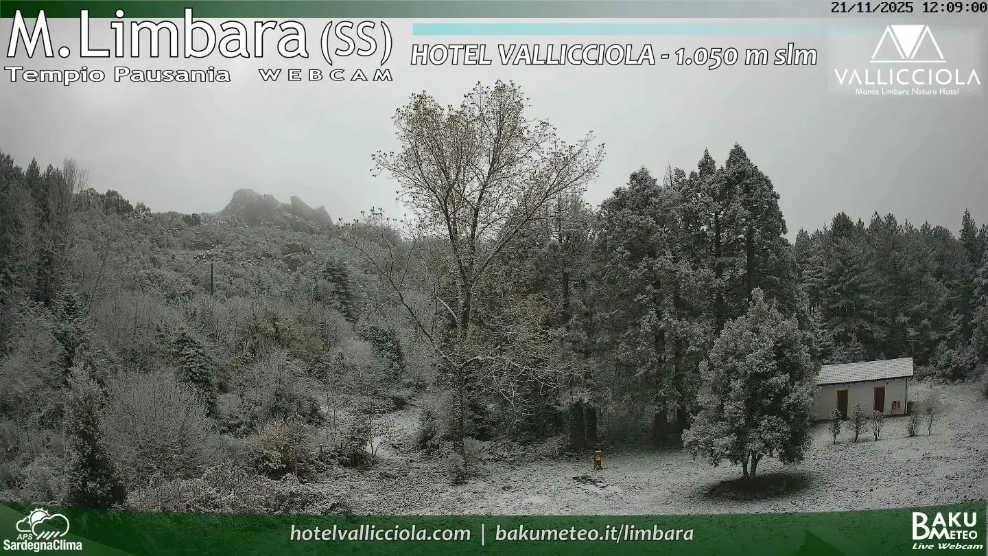 Prima neve sul Monte Limbara, in Gallura. Attesi fiocchi anche sul Gennargentu