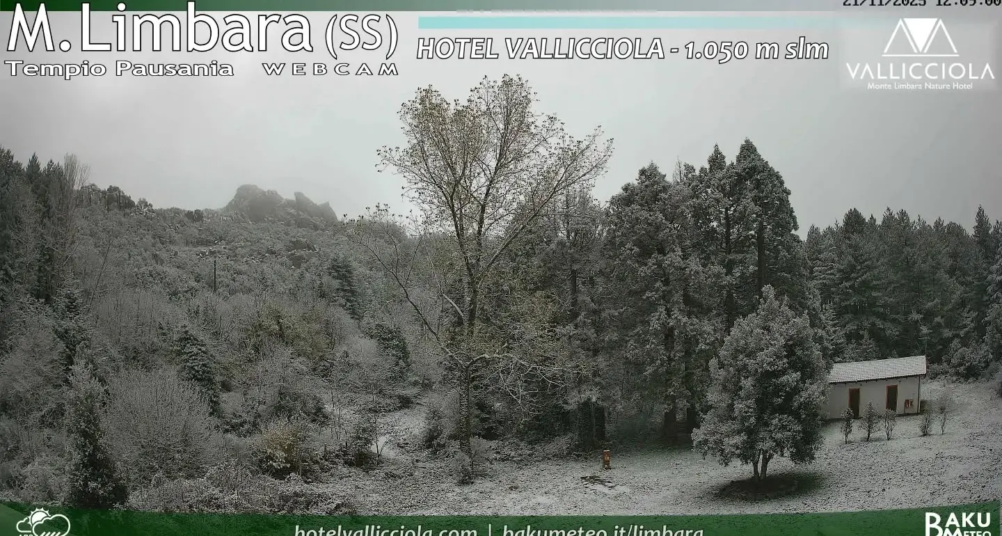 Prima neve sul Monte Limbara, in Gallura. Attesi fiocchi anche sul Gennargentu
