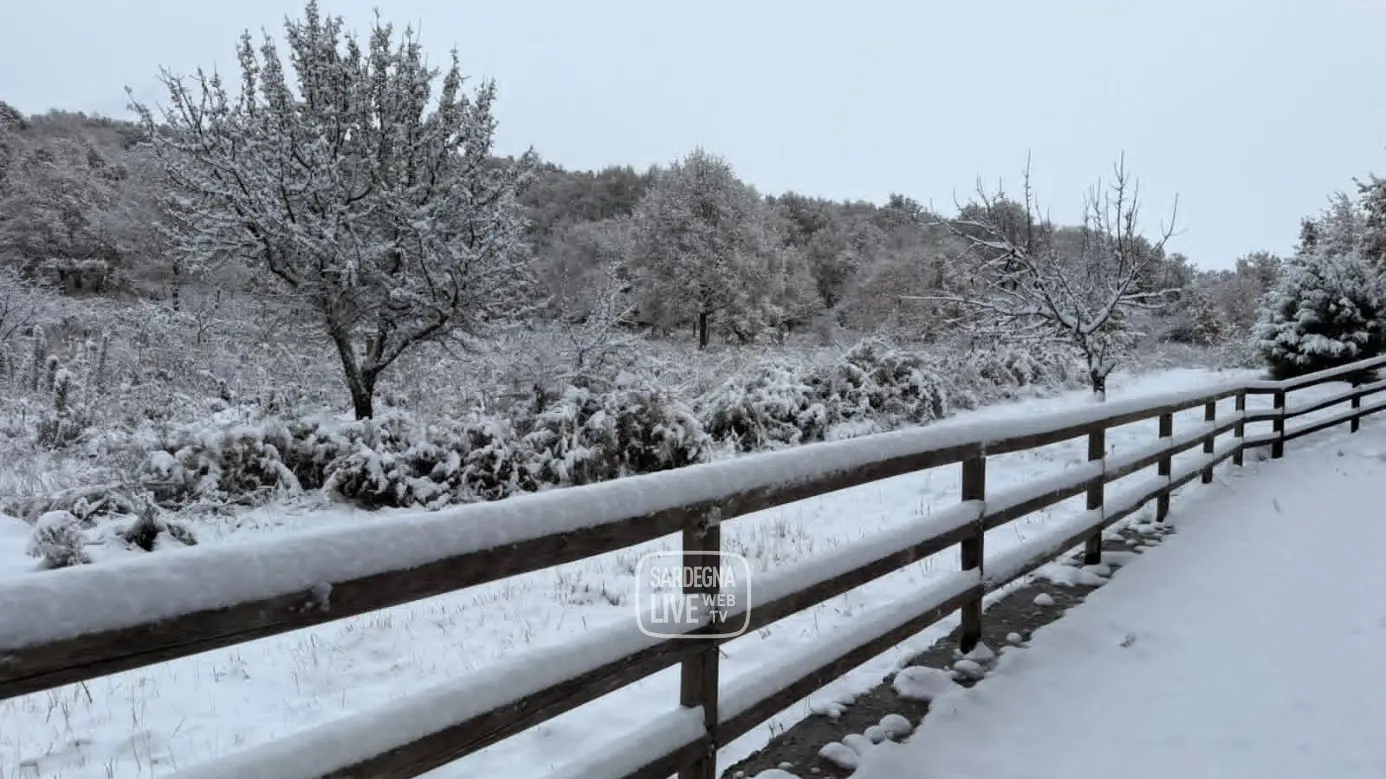 Fiocchi d’inverno sulle montagne sarde: le prime nevicate della stagione