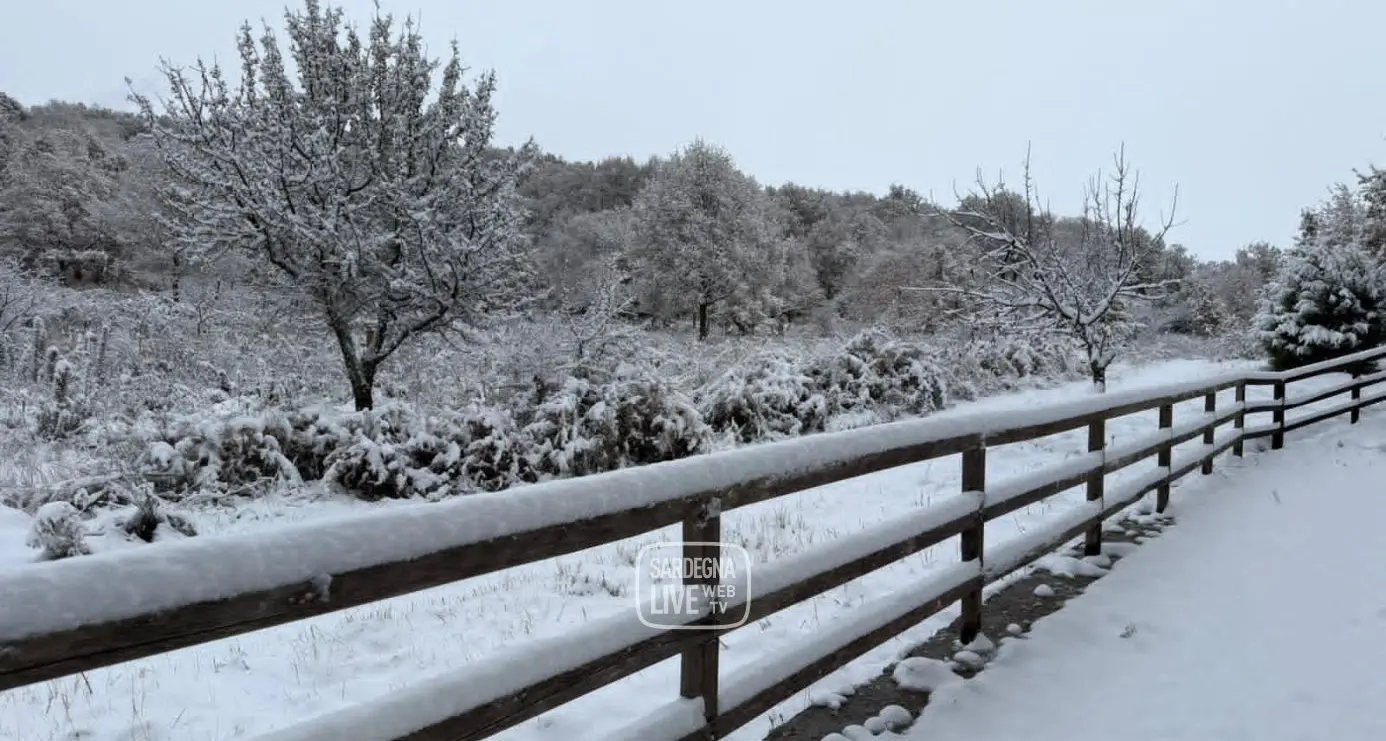 Fiocchi d’inverno sulle montagne sarde: le prime nevicate della stagione