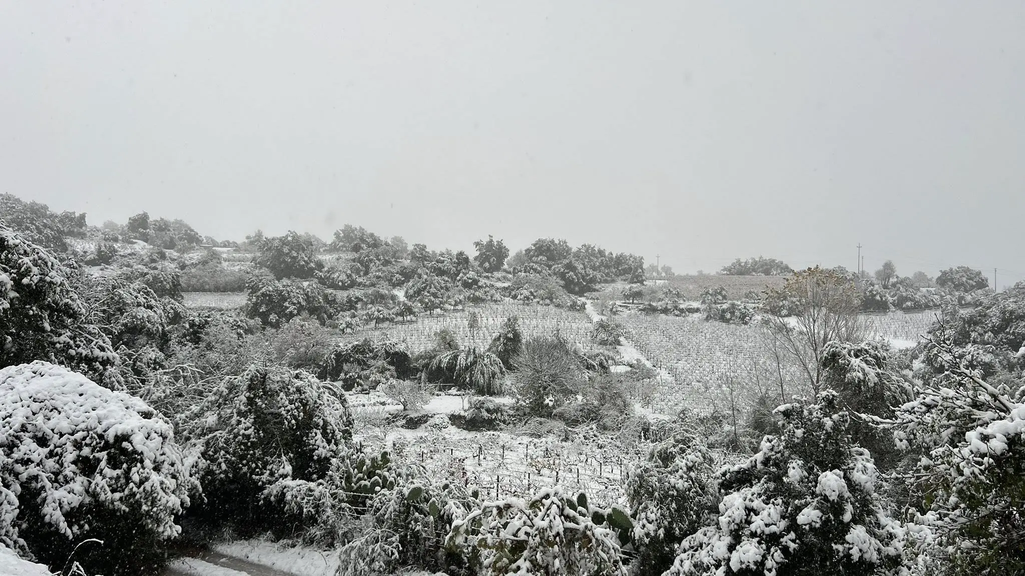Il centro Sardegna si sveglia sotto la neve. Atzara sospende tappa di Autunno in Barbagia