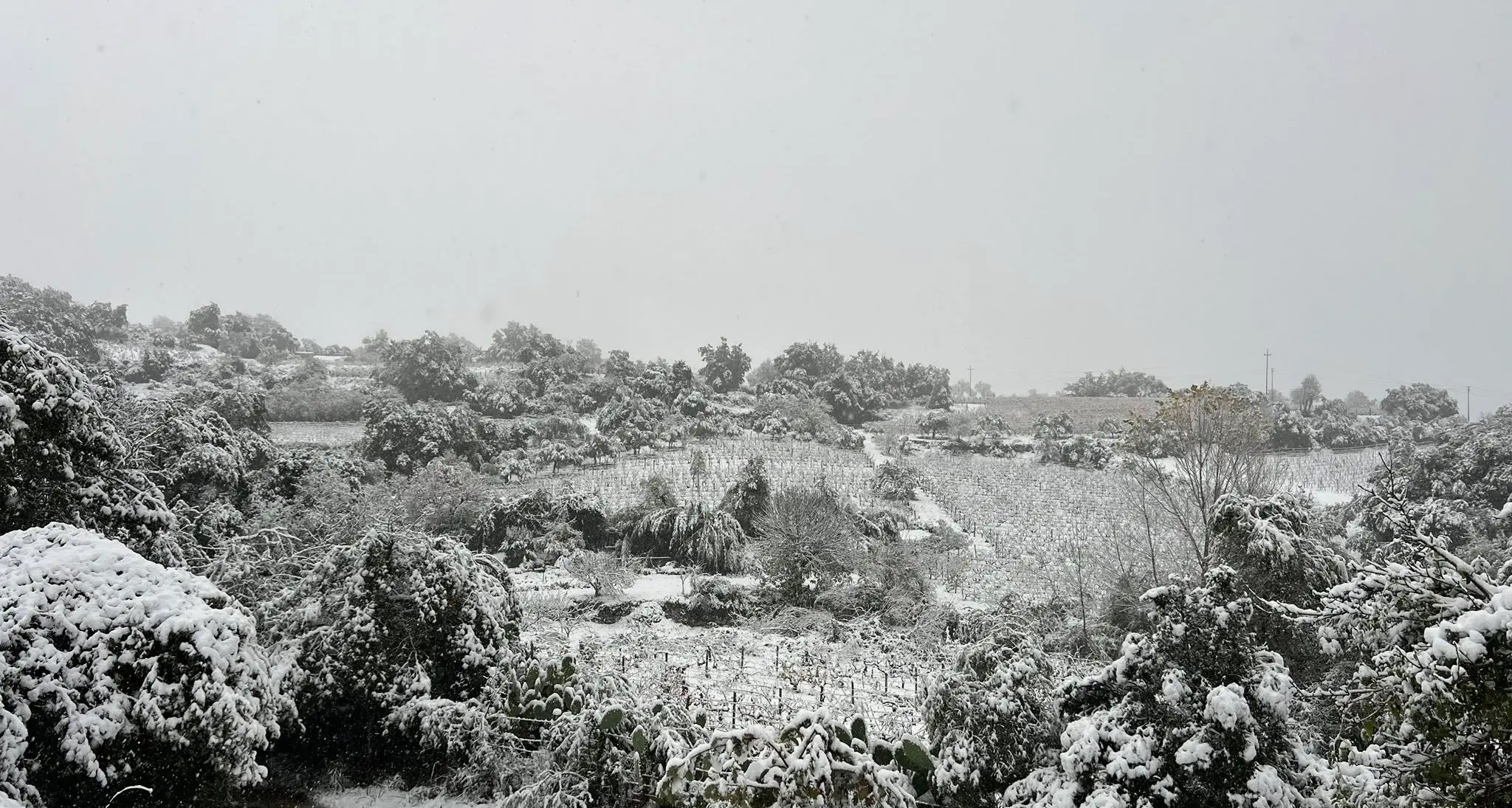 Il centro Sardegna si sveglia sotto la neve. Atzara sospende tappa di Autunno in Barbagia