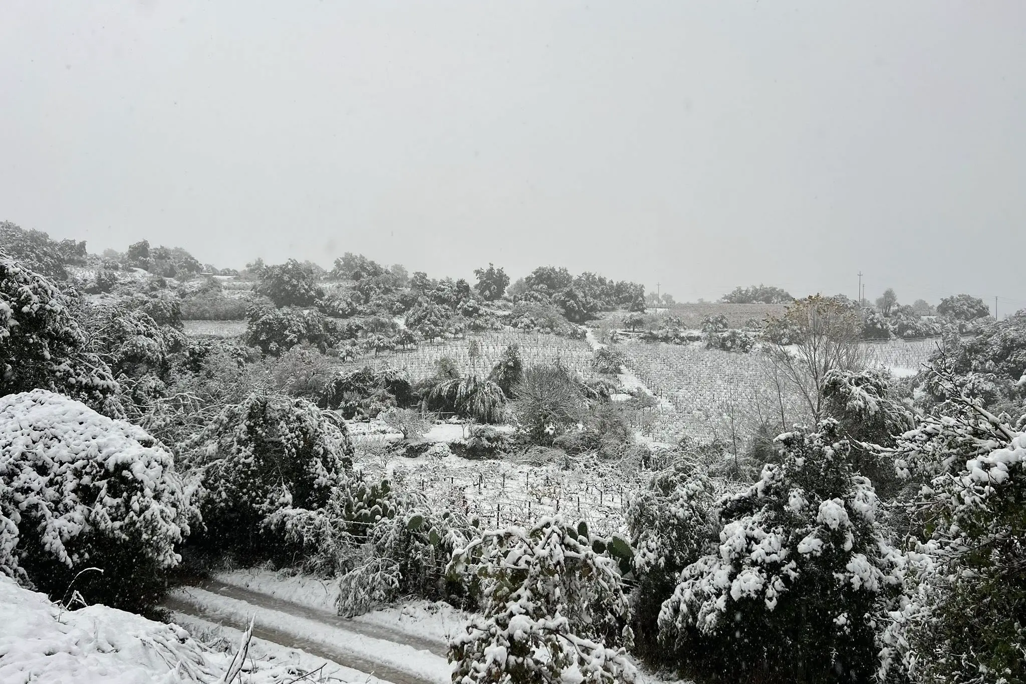 Il centro Sardegna si sveglia sotto la neve. Atzara sospende tappa di Autunno in Barbagia