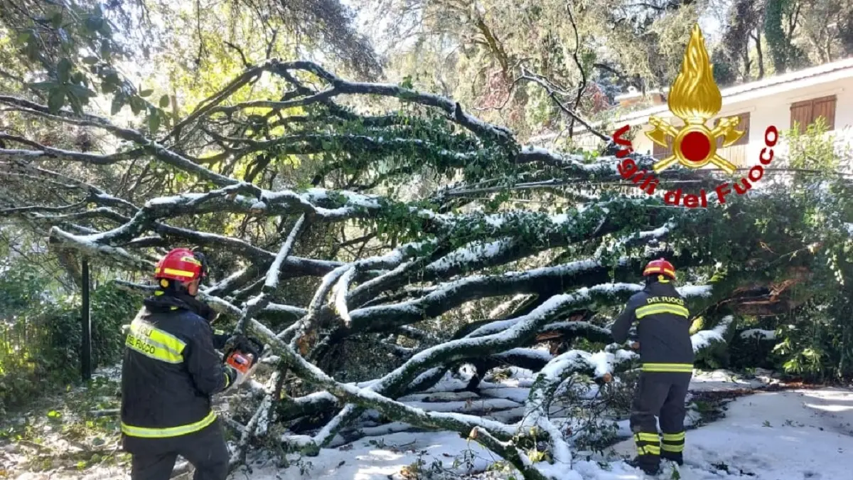 Nevicata blocca le strade a San Leonardo, Vigili del Fuoco al lavoro