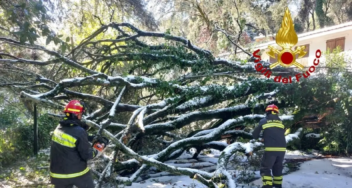 Nevicata blocca le strade a San Leonardo, Vigili del Fuoco al lavoro