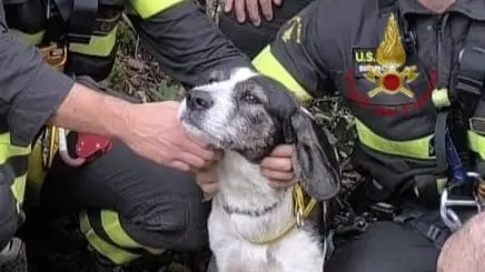 Santadi, salvati un cane e una capra bloccati in un’area impervia
